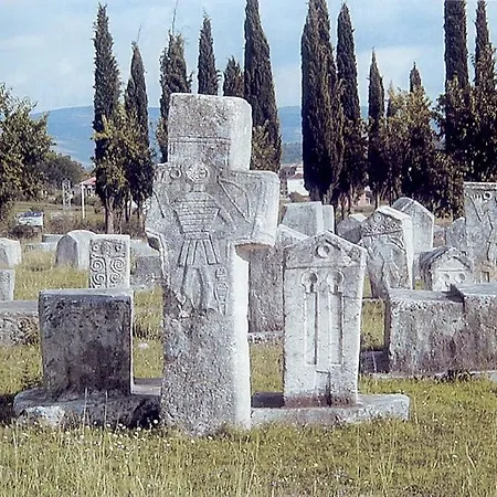 Sarin Vikendica *