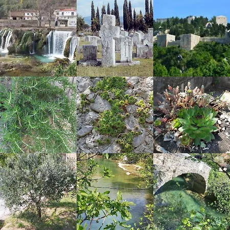 Dom wakacyjny Sarin *