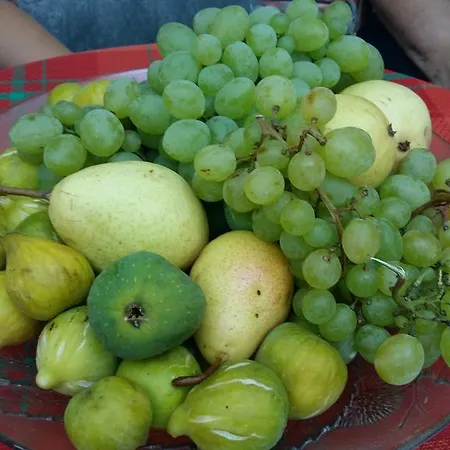 Sarin Dom wakacyjny *