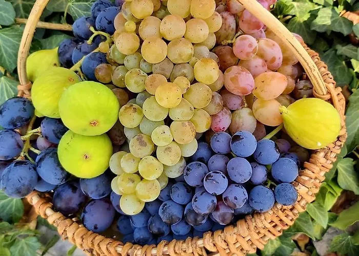 Sarin بيت للعطل