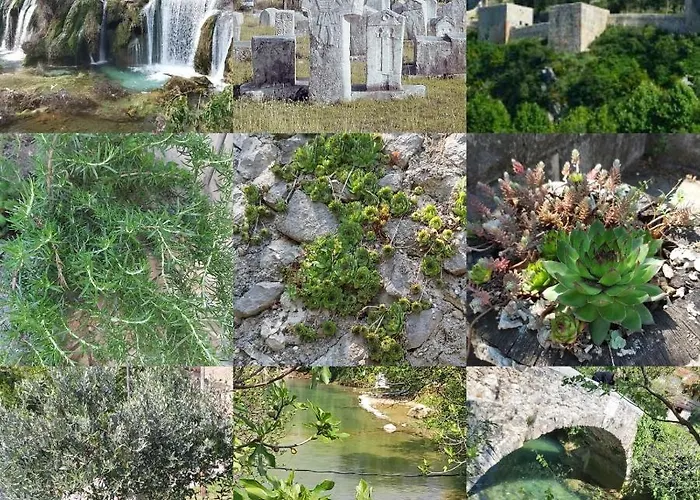 بيت للعطل Sarin *